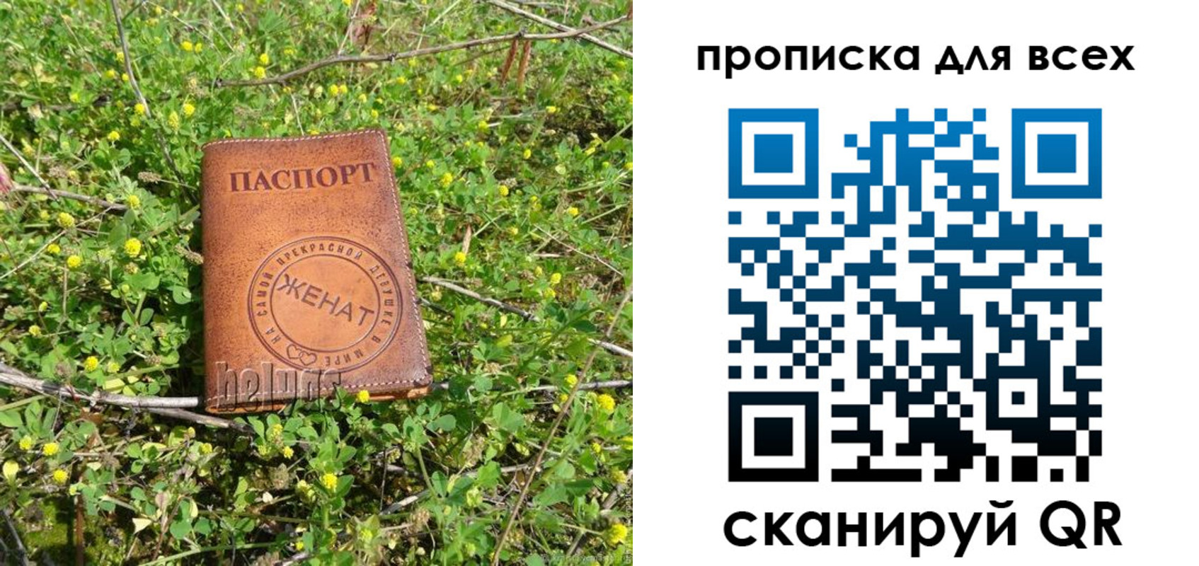 прописка поиск в Опочке